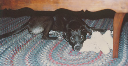 young Nora under table